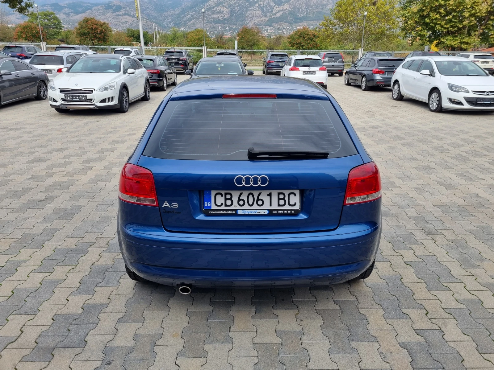 Audi A3 1.6-102кс ГАЗОВ ИНЖЕКЦИОН* 2005г. EURO 4 - изображение 5