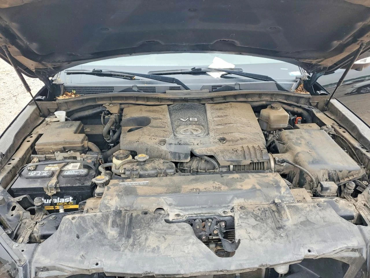 Infiniti QX80 5.6l Luxe | Mobile.bg � ����������� 12