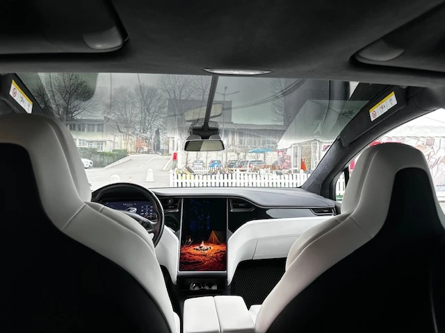Tesla Model X Raven - изображение 6