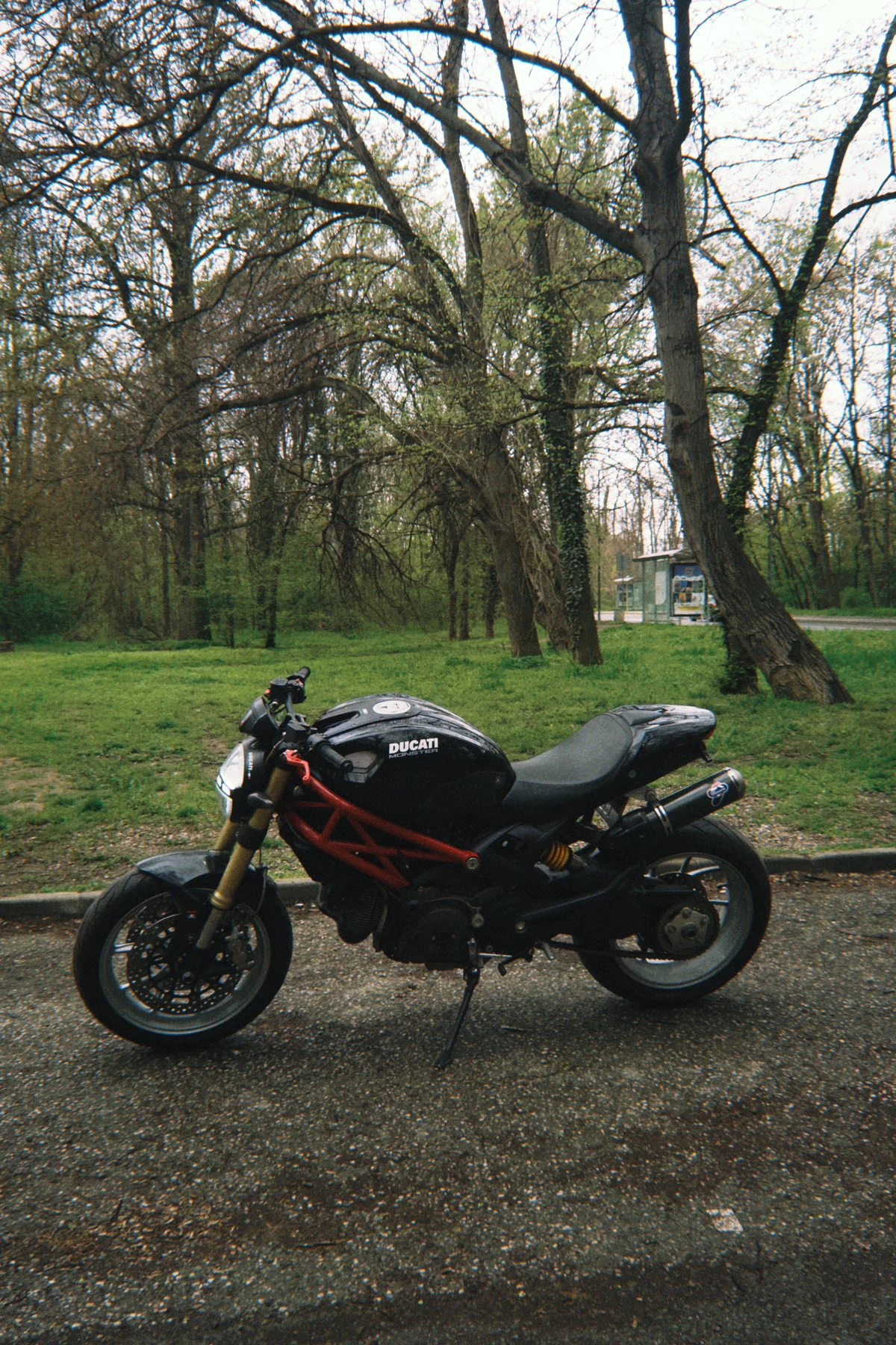 Ducati Monster 796 - изображение 2