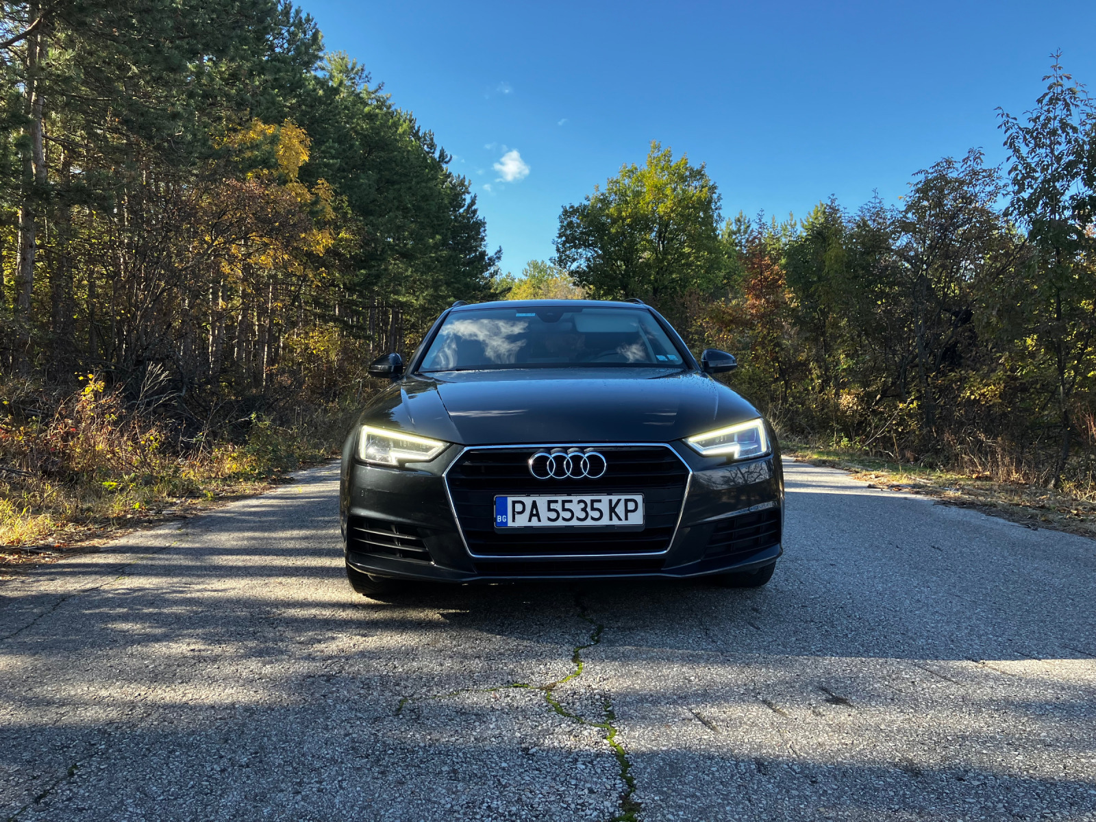 Audi A4 Avant - изображение 1