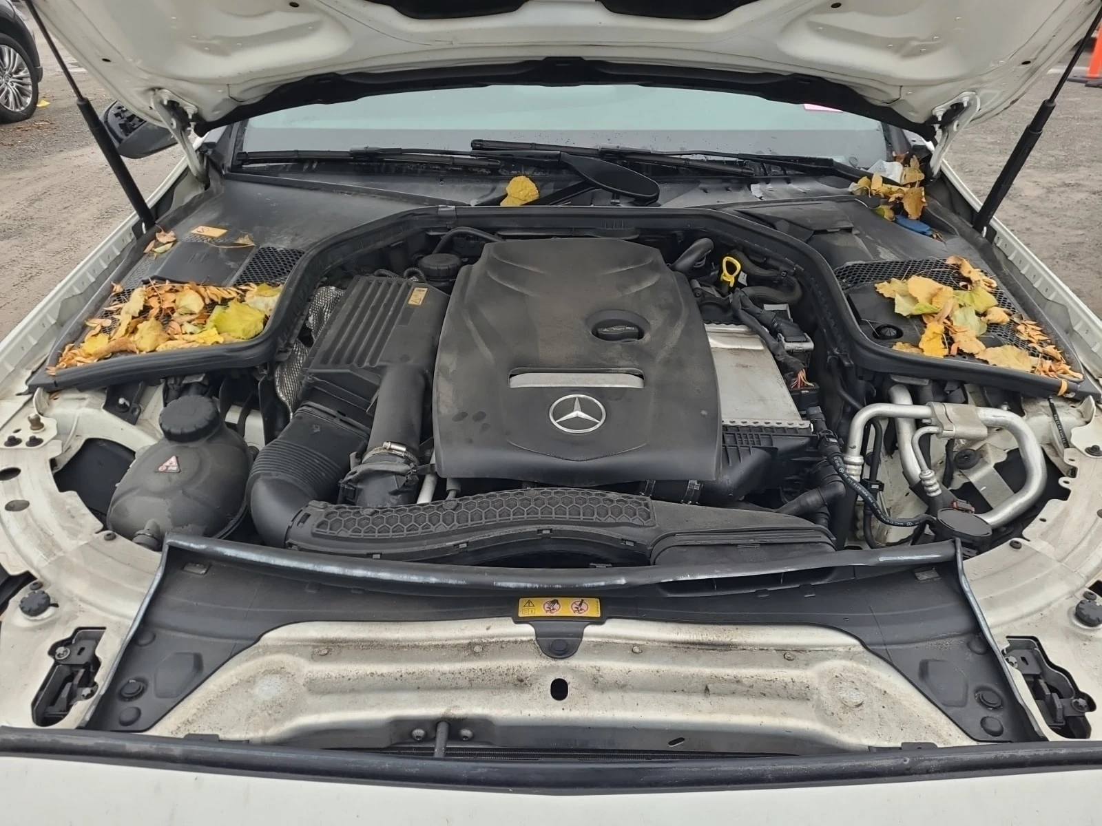 Mercedes-Benz C 300 CARFAX/����/�������/��������/����� | Mobile.bg � ����������� 17