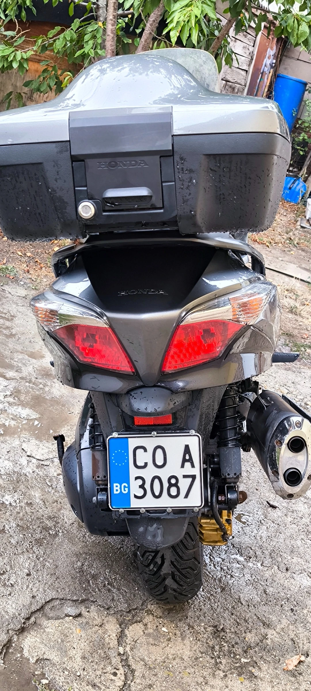 Honda Silver Wing ABS 600, снимка 4 - Мотоциклети и мототехника - 55439408