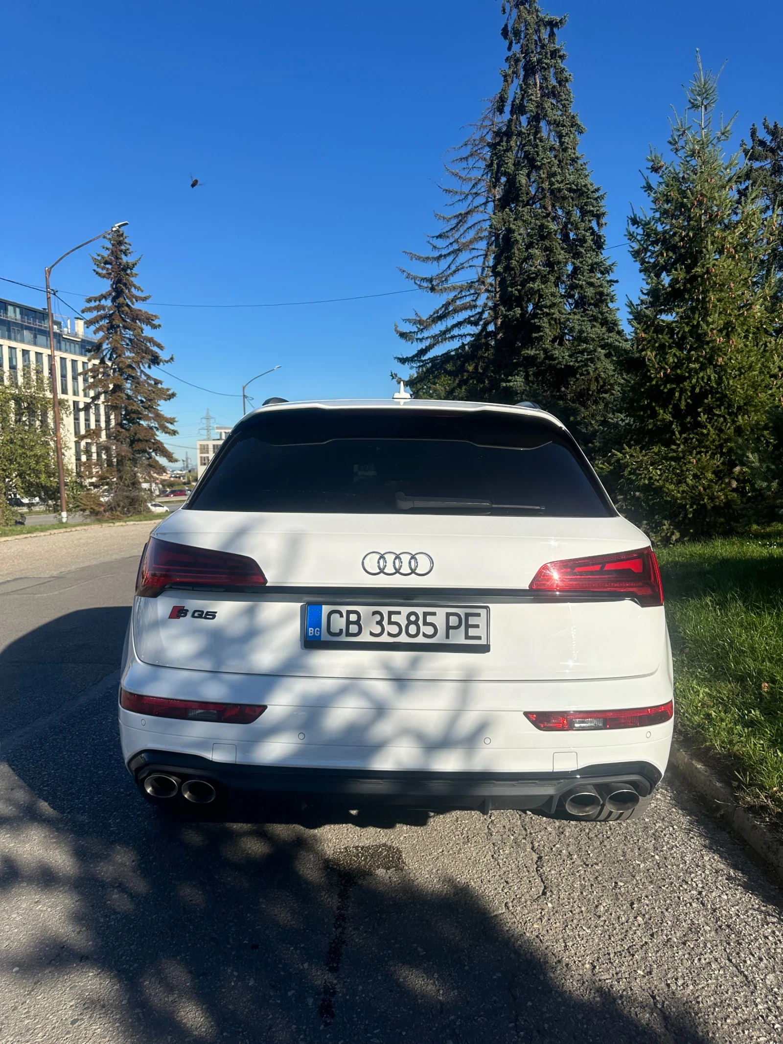 Audi SQ5 Supercharger, Luxury edition, Panorama - изображение 9