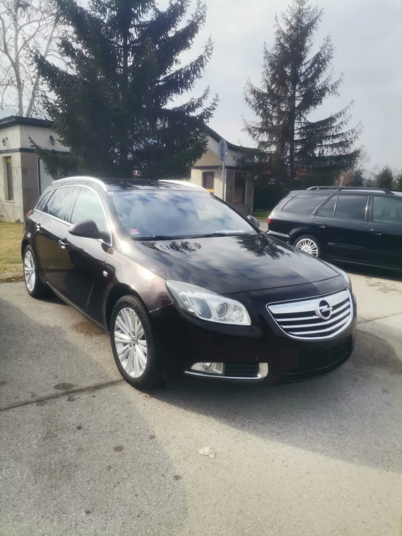 Opel Insignia 2.0 би турбо 4#4 , снимка 1 - Автомобили и джипове - 49139373