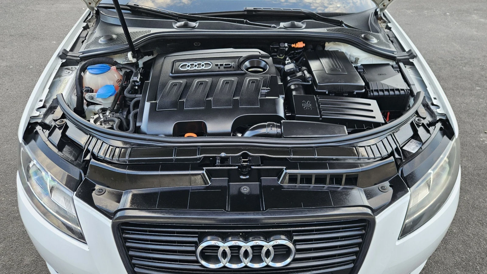 Audi A3 1.6 TDI Sportback Панорама !!! , снимка 11 - Автомобили и джипове - 51106278