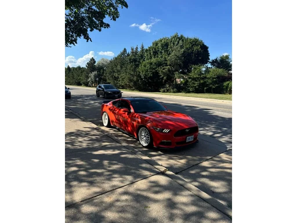 Ford Mustang * 2dr Fastback GT Premium * CARFAX *  - изображение 3