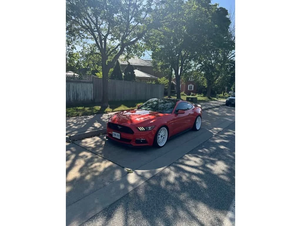 Ford Mustang * 2dr Fastback GT Premium * CARFAX *  - изображение 6