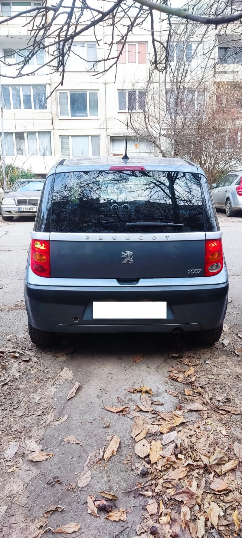 Peugeot 1007, снимка 2 - Автомобили и джипове - 48992149