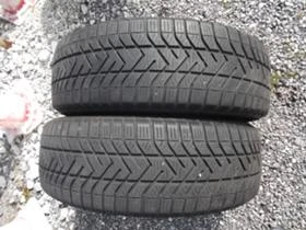      195/65R15