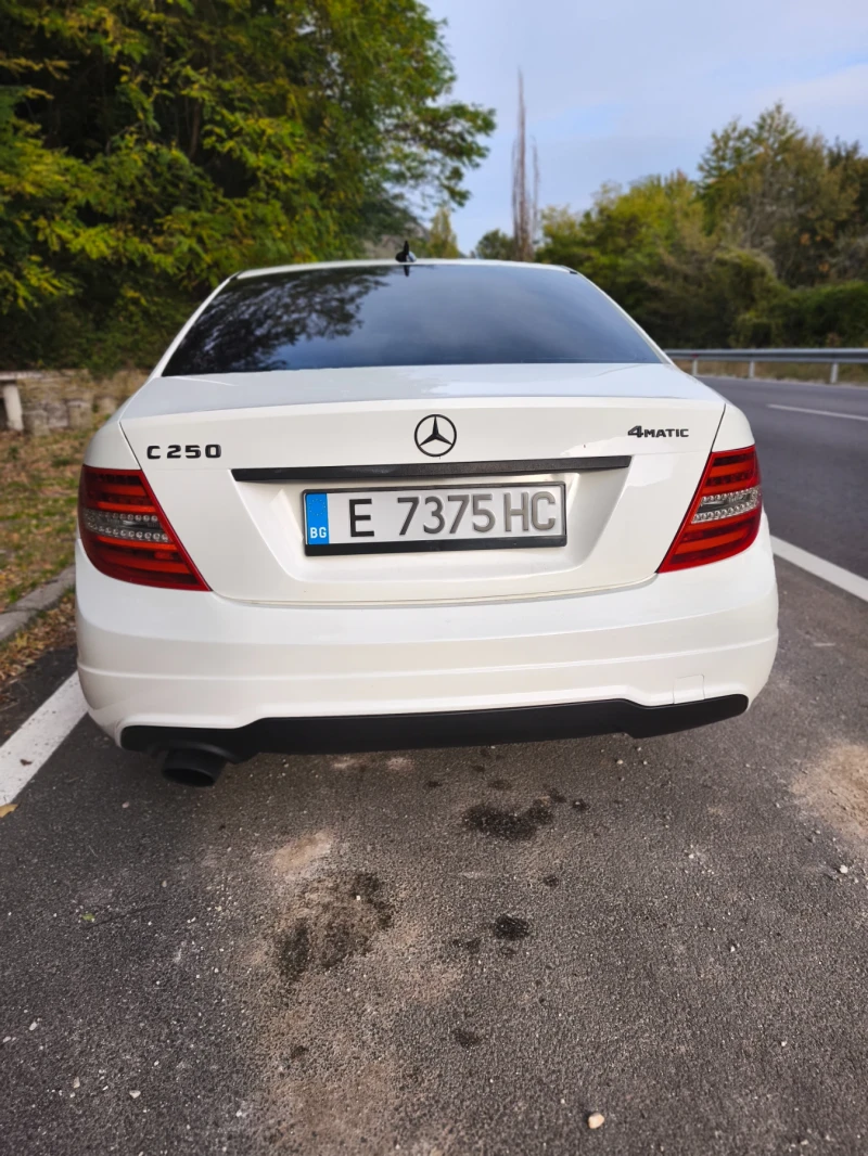 Mercedes-Benz C 250, снимка 4 - Автомобили и джипове - 52088126