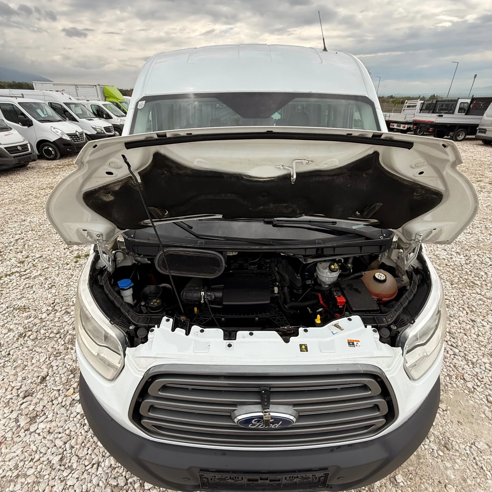 Ford Transit 9--6-- | Mobile.bg   17