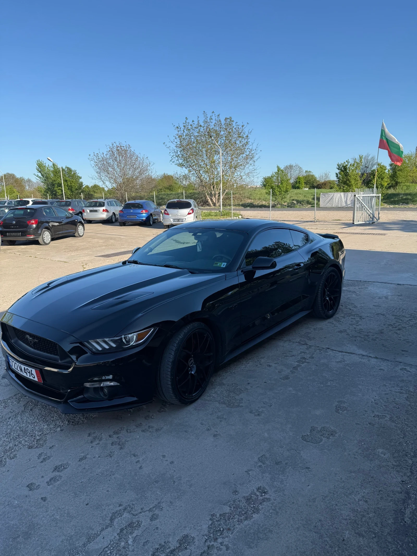 Ford Mustang Ford mustang GT 5000  - изображение 5