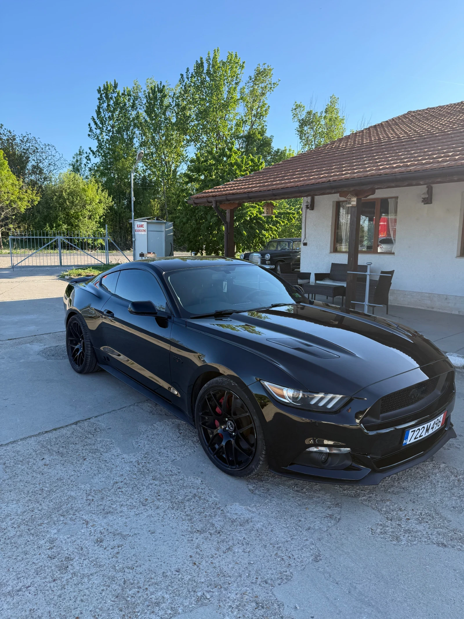 Ford Mustang Ford mustang GT 5000  - изображение 4