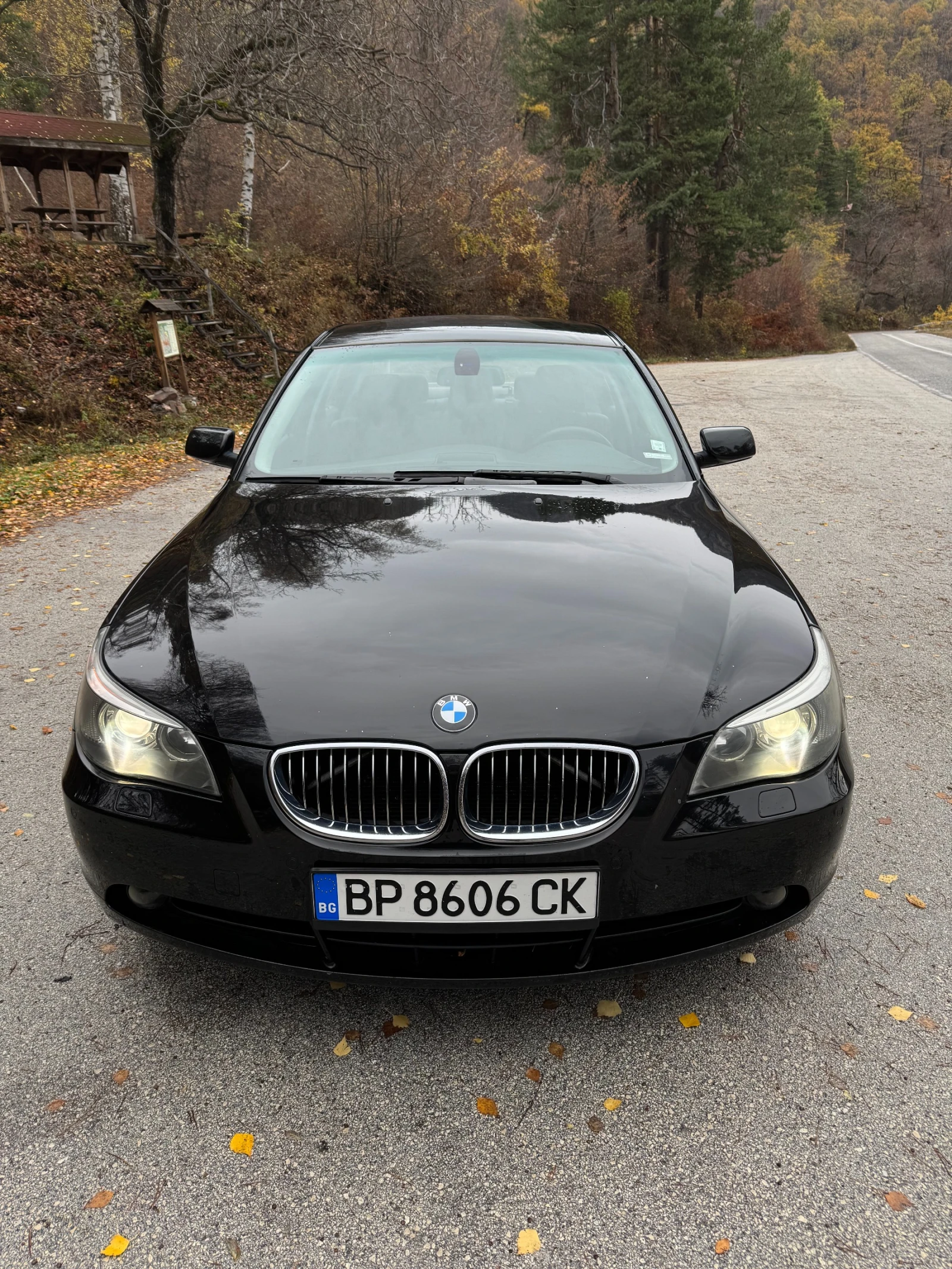 BMW 530 XD - изображение 2