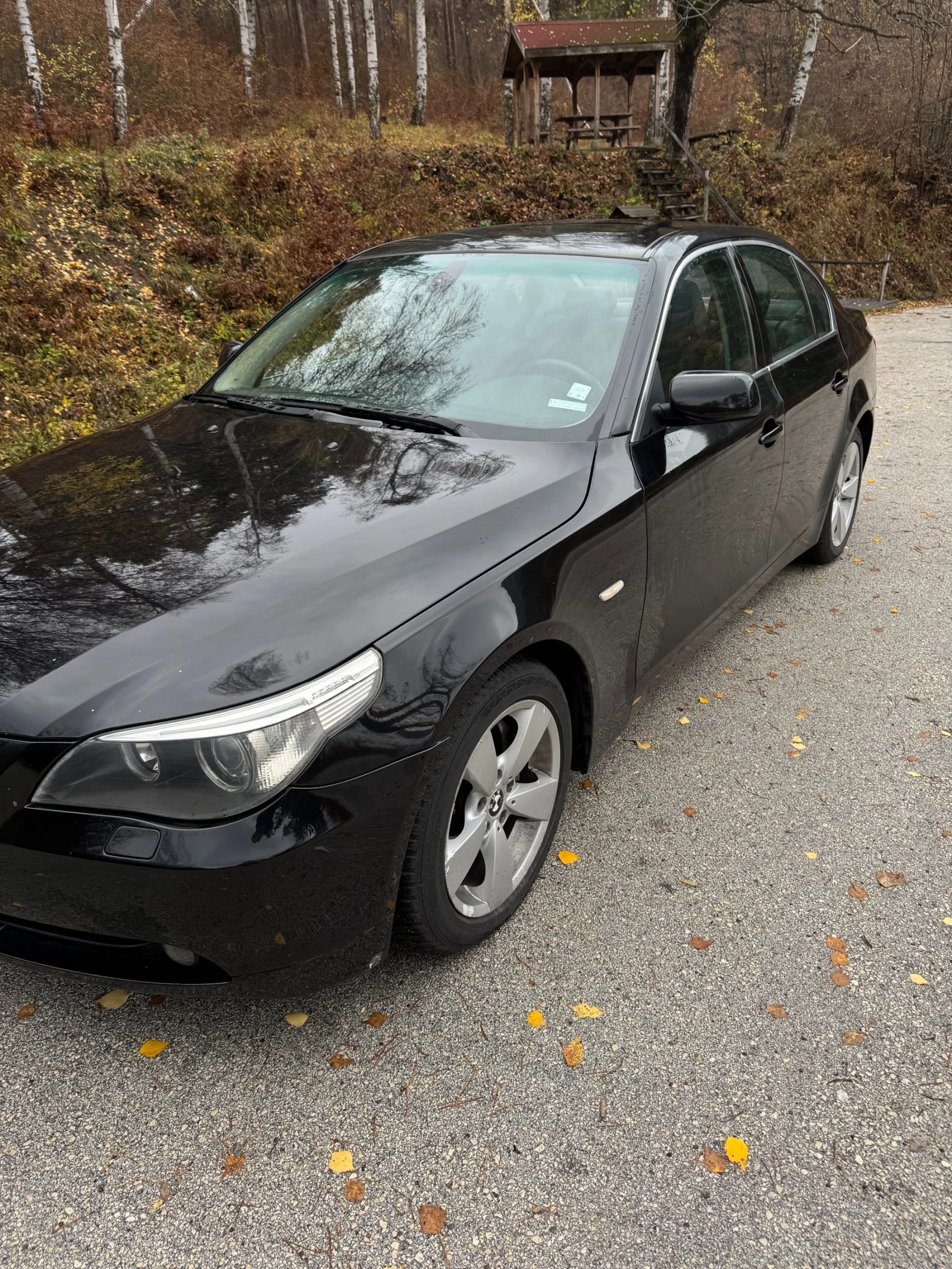 BMW 530 XD - изображение 4