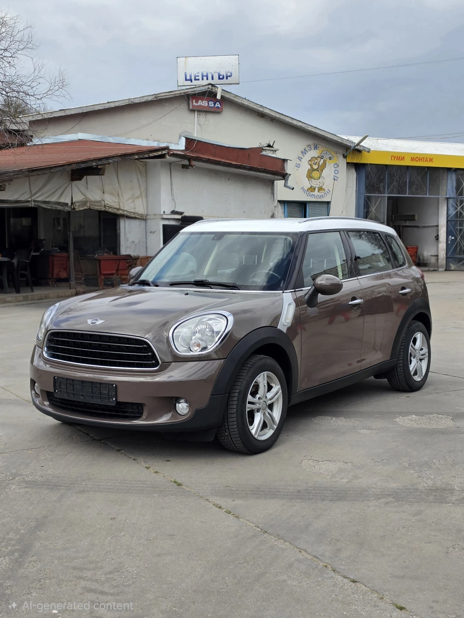 Mini Countryman