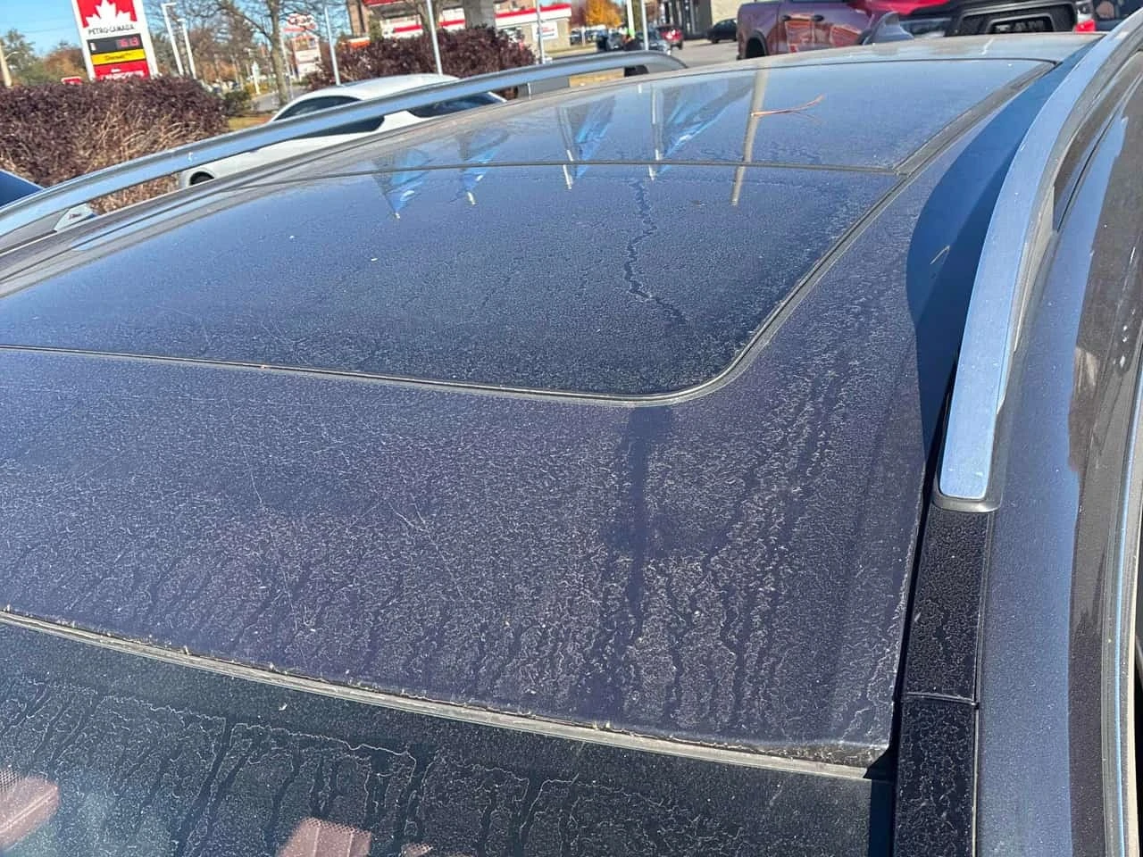 BMW X7 xDrive40i /CARFAX/360 ���/�����/������/ | Mobile.bg � ����������� 11