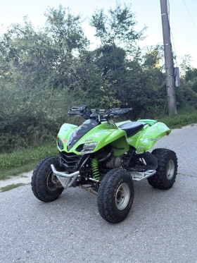 Kawasaki Kfx 700 Leo Vince, снимка 1