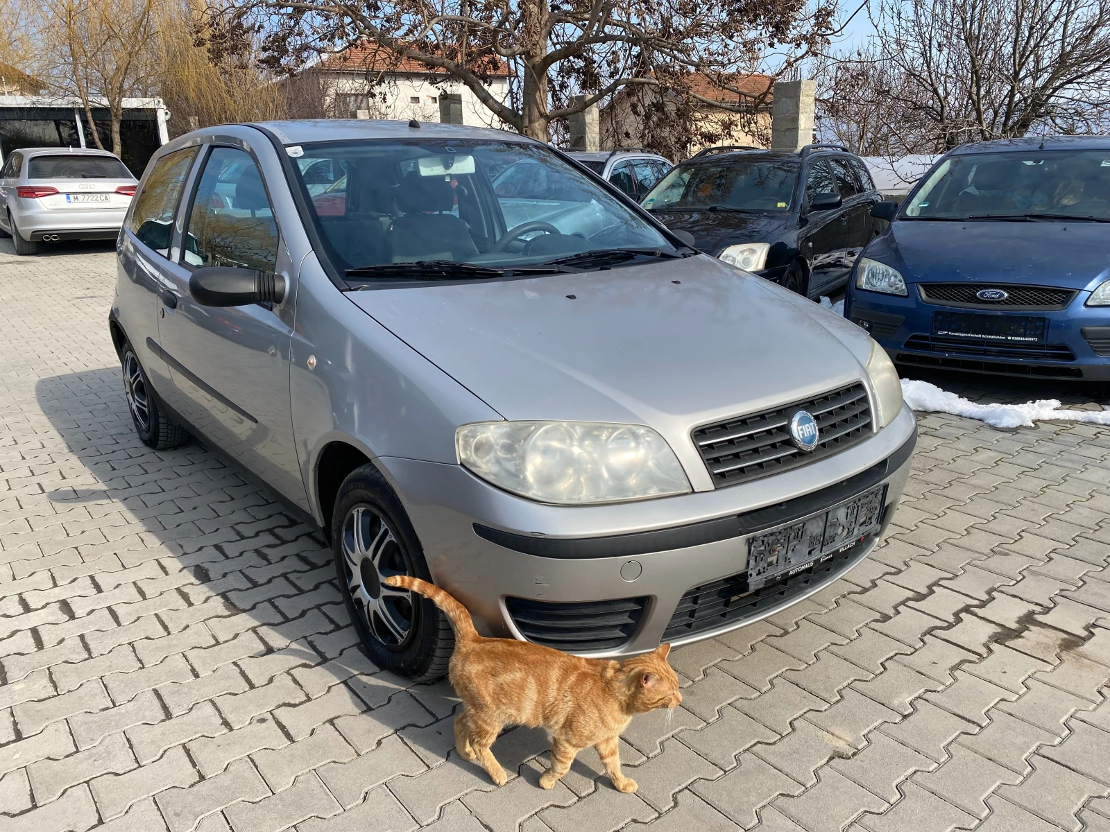 Fiat Punto 1.2 60к.с - изображение 6