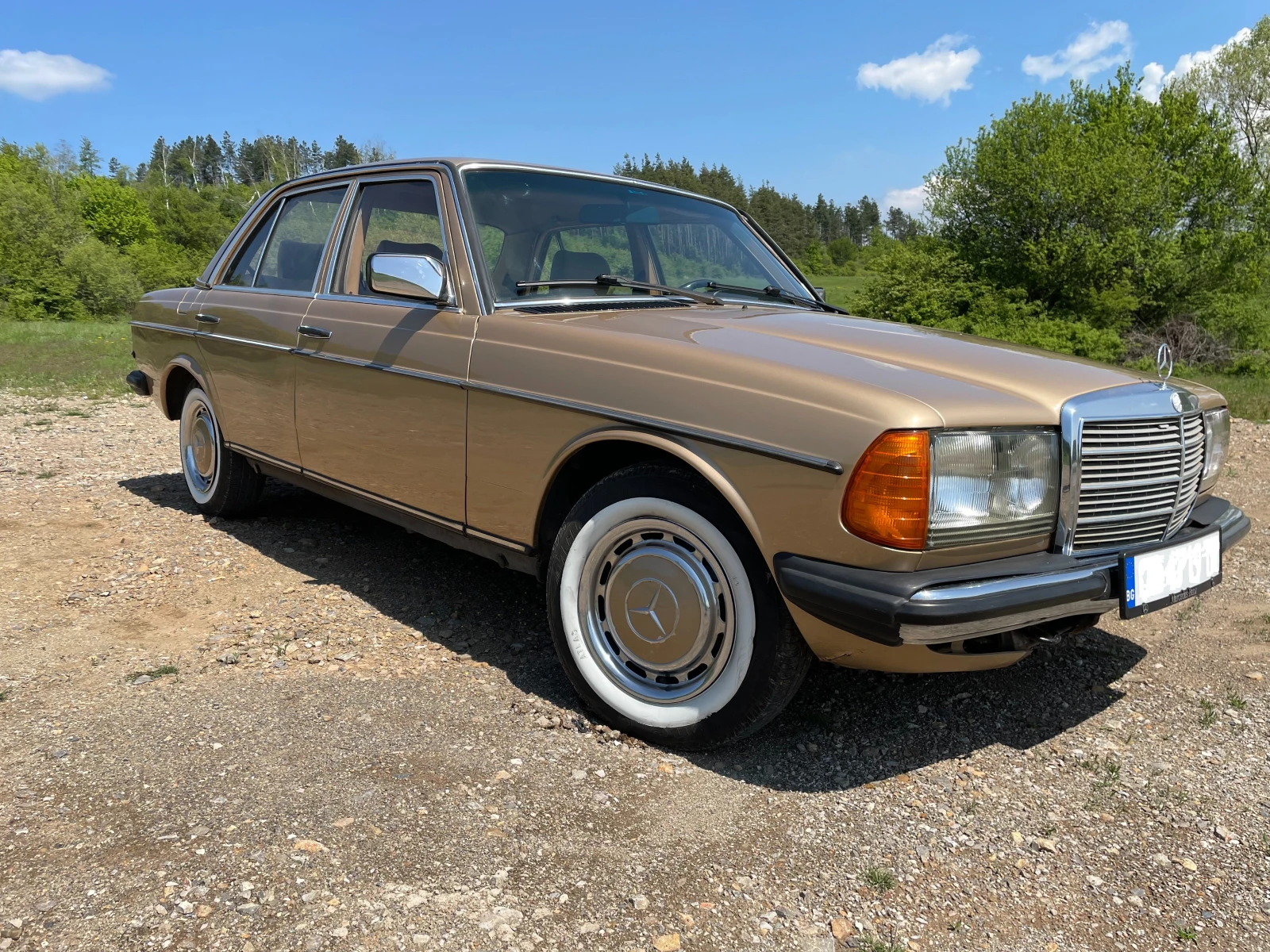 Mercedes-Benz 123 | Mobile.bg — изображение 1