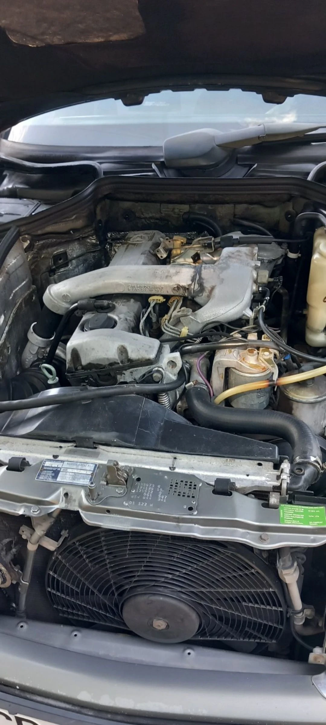 Mercedes-Benz 124 2.5td - изображение 7
