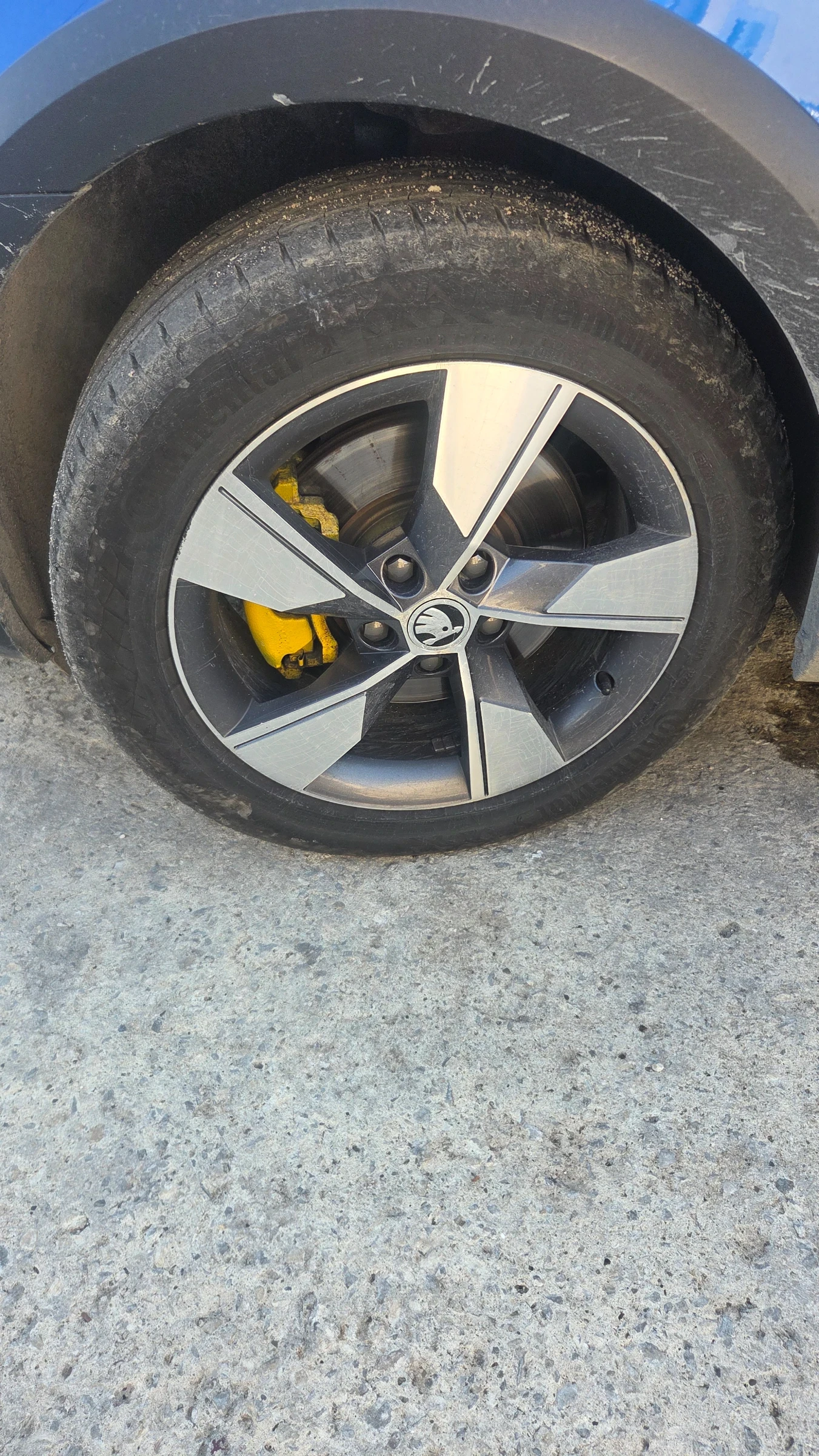 Skoda Octavia SCOUT, снимка 11 - Автомобили и джипове - 55177917