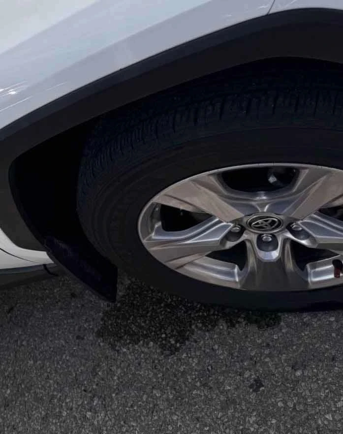 Toyota Rav4 * Hybrid LE AWD * CARFAX *  | Mobile.bg � ����������� 7