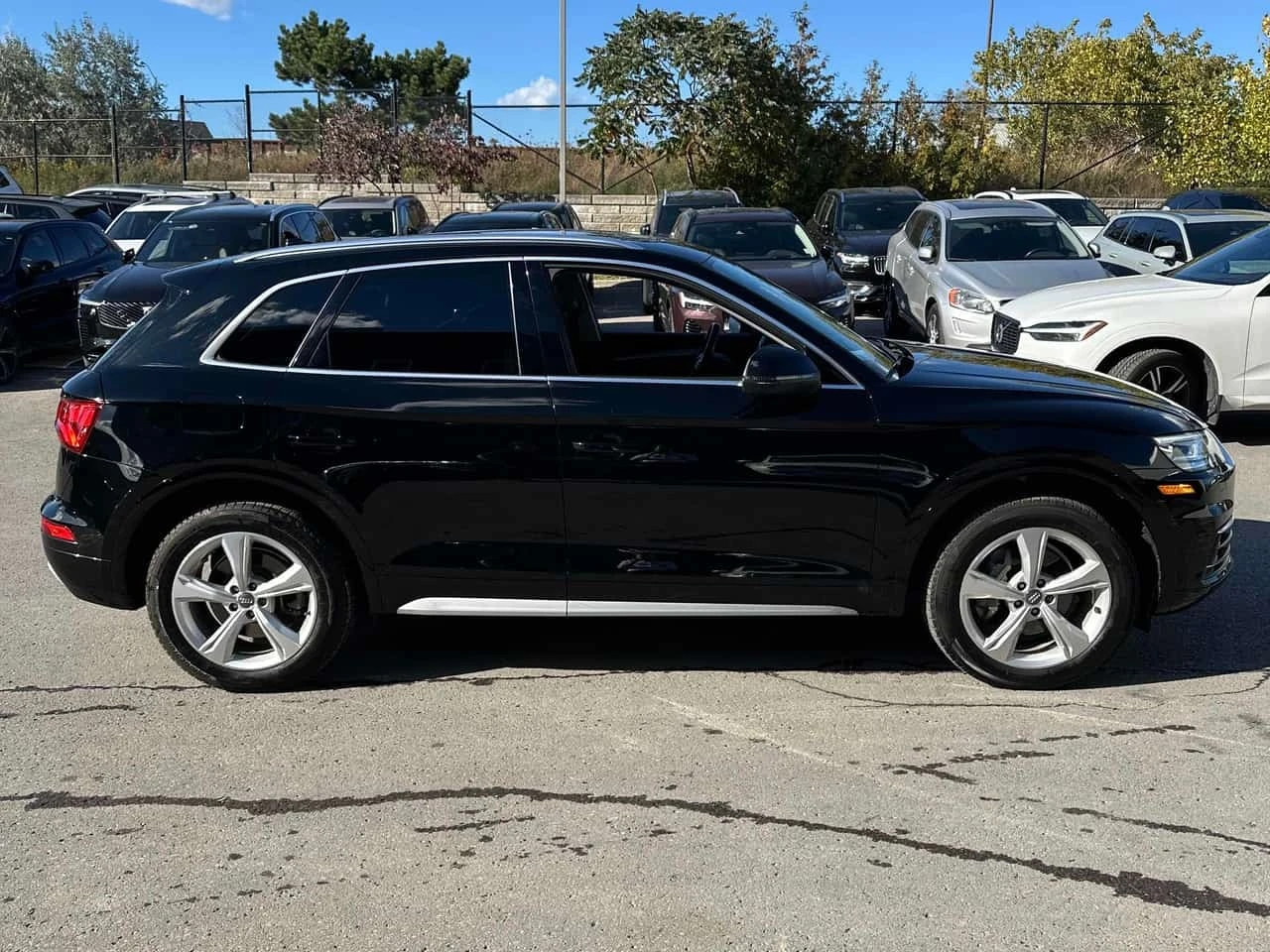 Audi Q5 * Progressiv * CARFAX * ����� �� ����������� | Mobile.bg � ����������� 3