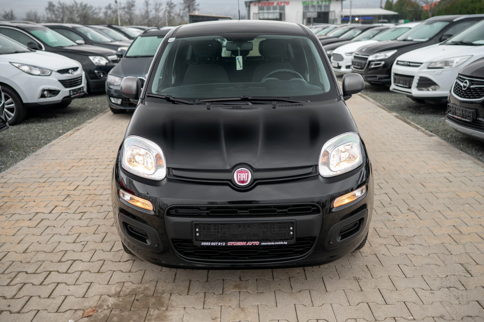 Fiat Panda бензин* YOUNG - изображение 4