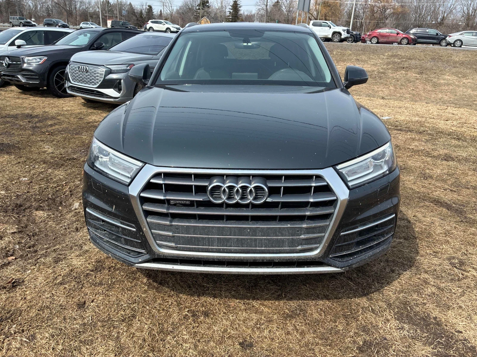 Audi Q5 KOMFORT* CAR FAX * ���� ������ * ���� �� �� *  | Mobile.bg � ����������� 5