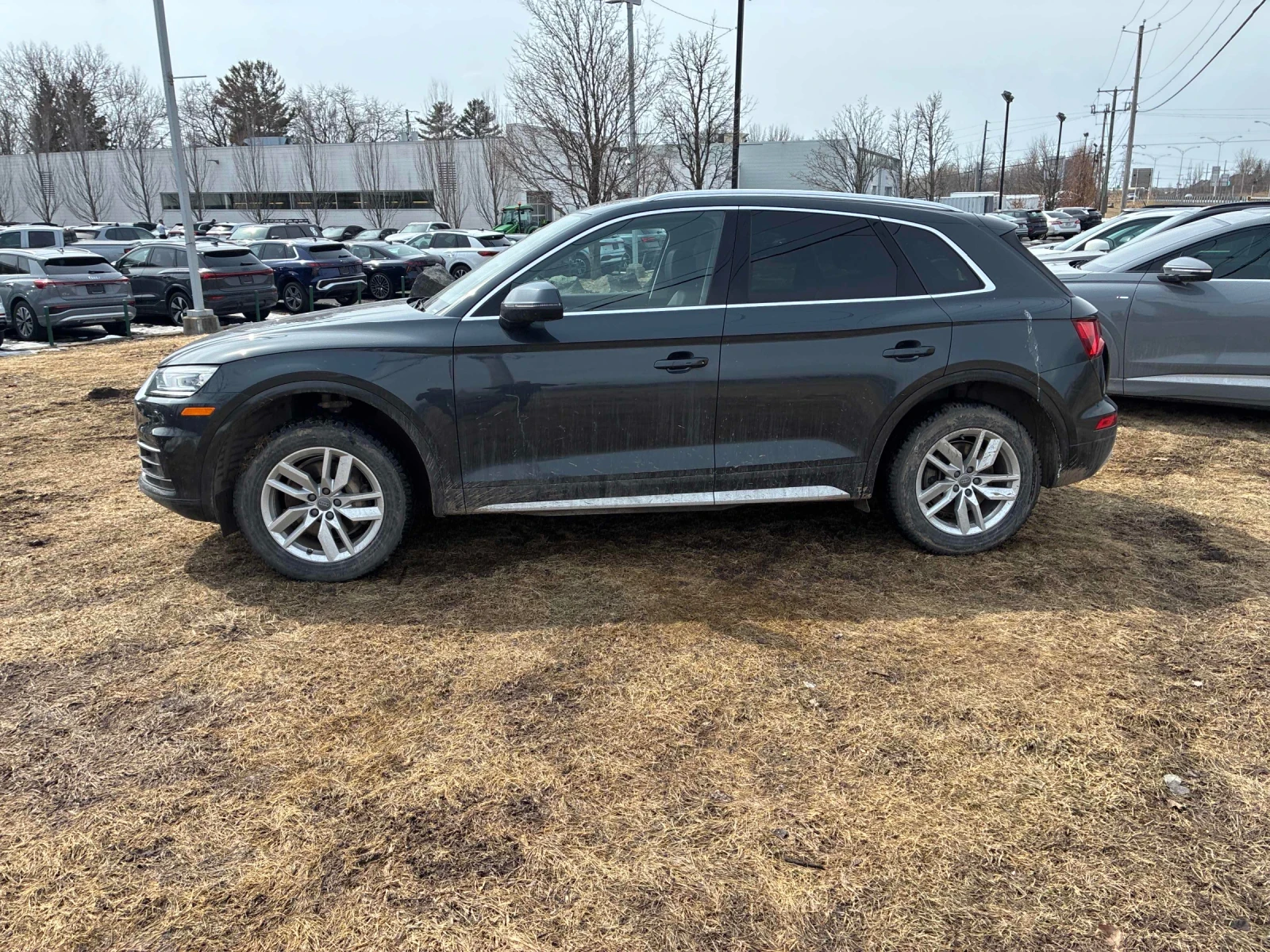 Audi Q5 KOMFORT* CAR FAX * ���� ������ * ���� �� �� *  | Mobile.bg � ����������� 2