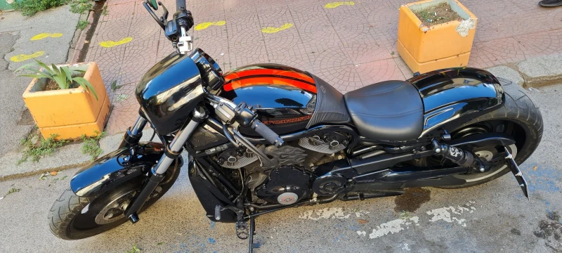 Harley-Davidson V-Rod Тунинг  V rod night special 