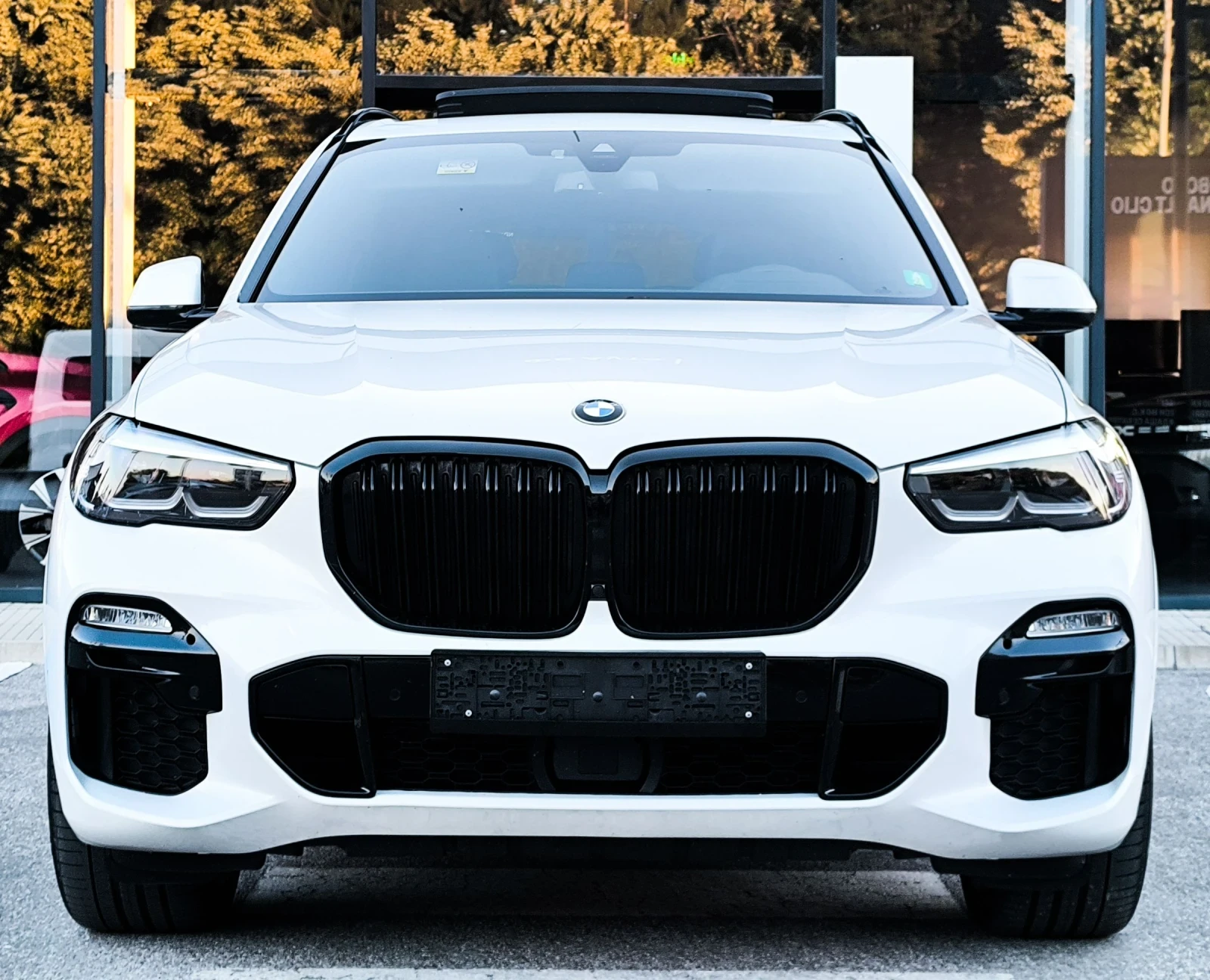 BMW X5 3.0D/M-PACKET/XDRIVE/PANORAMA, снимка 2 - Автомобили и джипове - 54973992