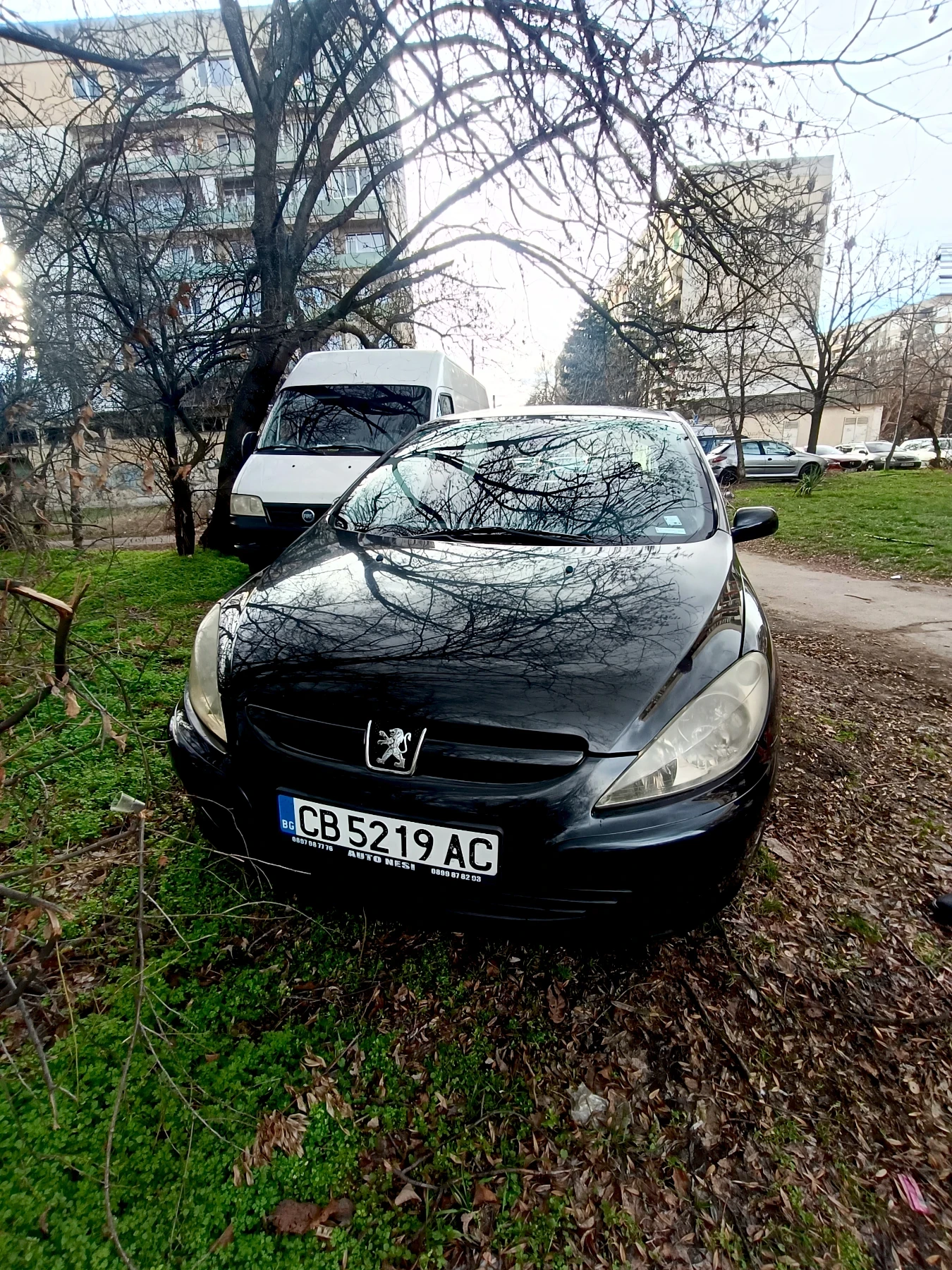 Peugeot 307, снимка 1