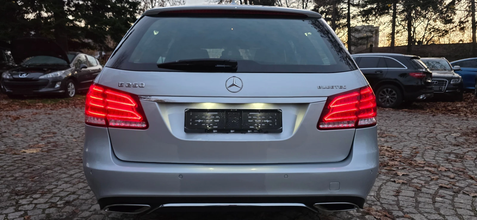 Mercedes-Benz E 250 CDI * FACE* * AVANTGARDE* * 4 MATIC* * ШВЕЙЦАРИЯ - изображение 6