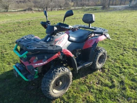 Linhai 300, снимка 2