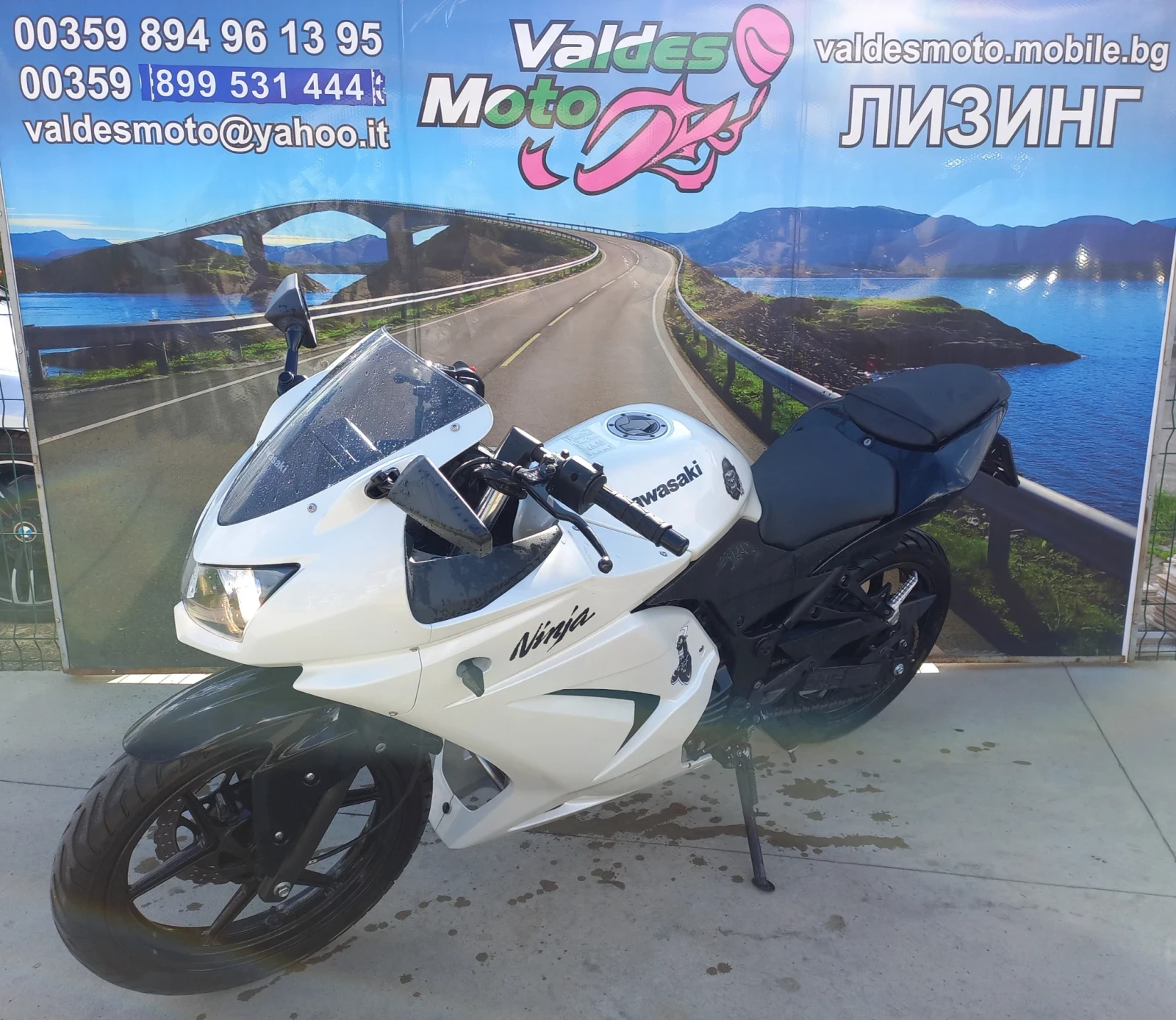 Kawasaki Ninja 250 A2  - изображение 2