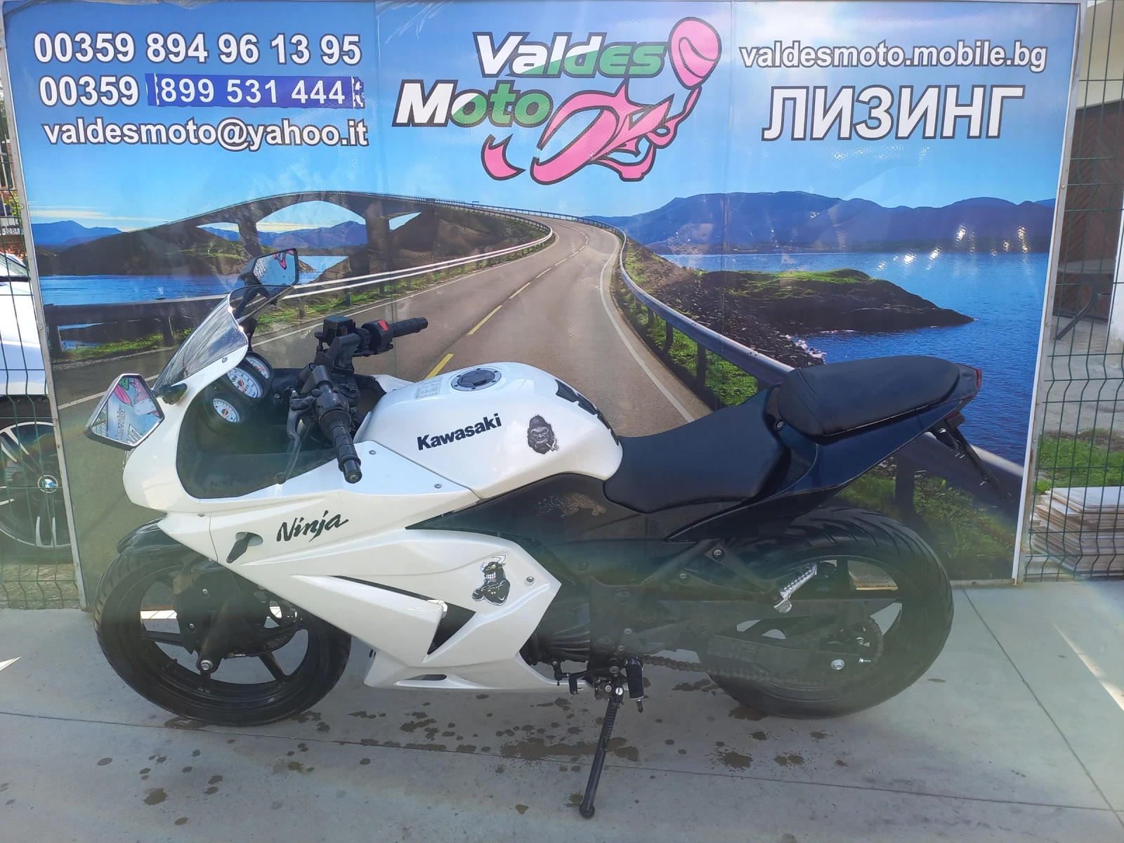 Kawasaki Ninja 250 A2  - изображение 3