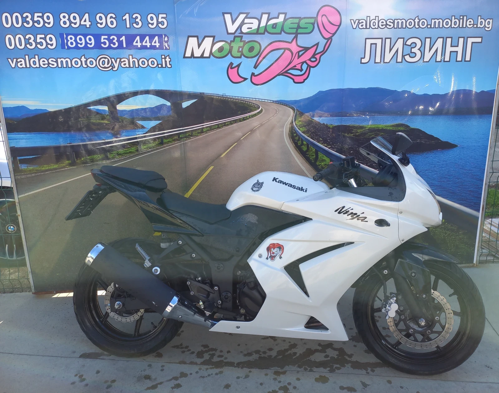 Kawasaki Ninja 250 A2  - изображение 4
