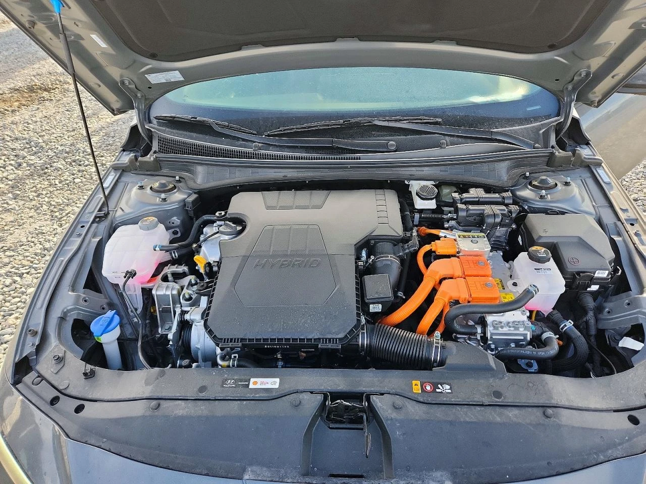 Hyundai Elantra 1.6l Hybrid Sel Sport* ������ ���� �� ��*  | Mobile.bg � ����������� 11