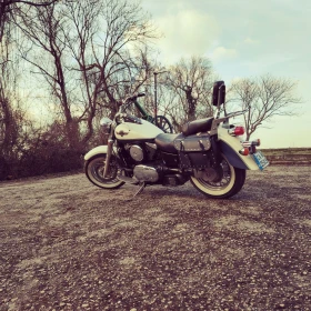 Kawasaki Vulcan, снимка 8