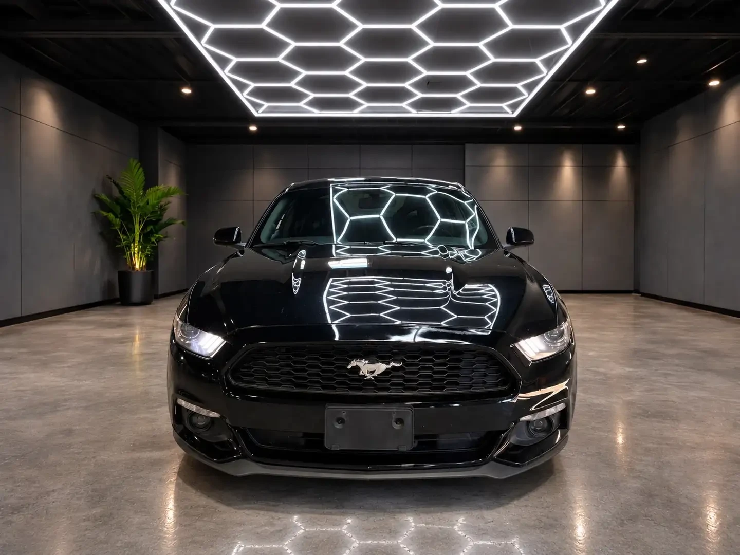 Ford Mustang 2.3 / �����/ RECARO BUCKET �������/ ������ | Mobile.bg � ����������� 2