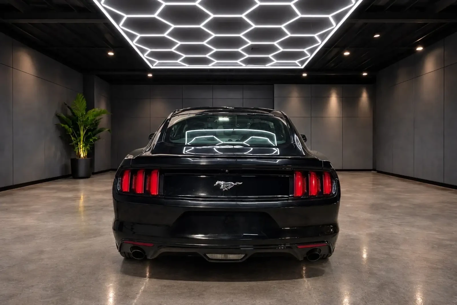 Ford Mustang 2.3 / �����/ RECARO BUCKET �������/ ������ | Mobile.bg � ����������� 4