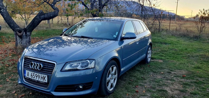 Audi A3 1.6 105kc, снимка 1 - Автомобили и джипове - 47896647