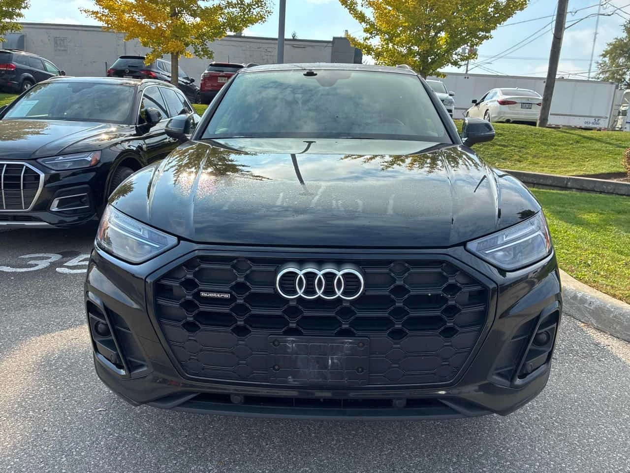 Audi Q5 * Progressiv * ���������� ��� ������������ ������* | Mobile.bg � ����������� 6