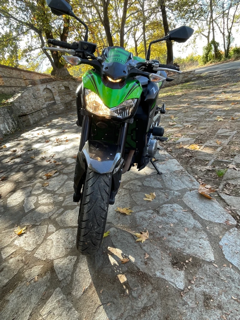 Kawasaki Z