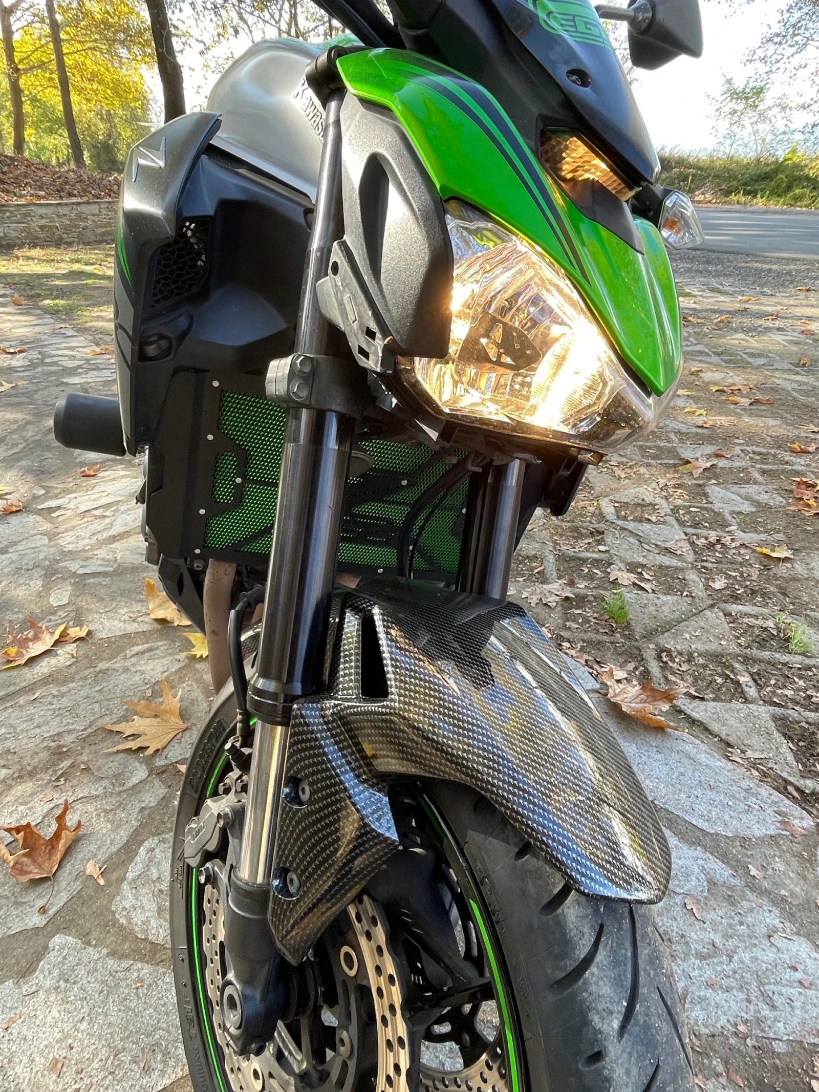 Kawasaki Z  - изображение 2