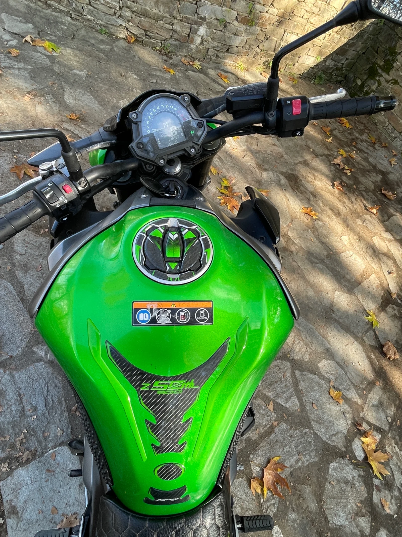 Kawasaki Z  - изображение 3