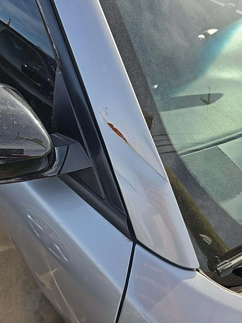 Dodge Charger SXT, снимка 12 - Автомобили и джипове - 53201302